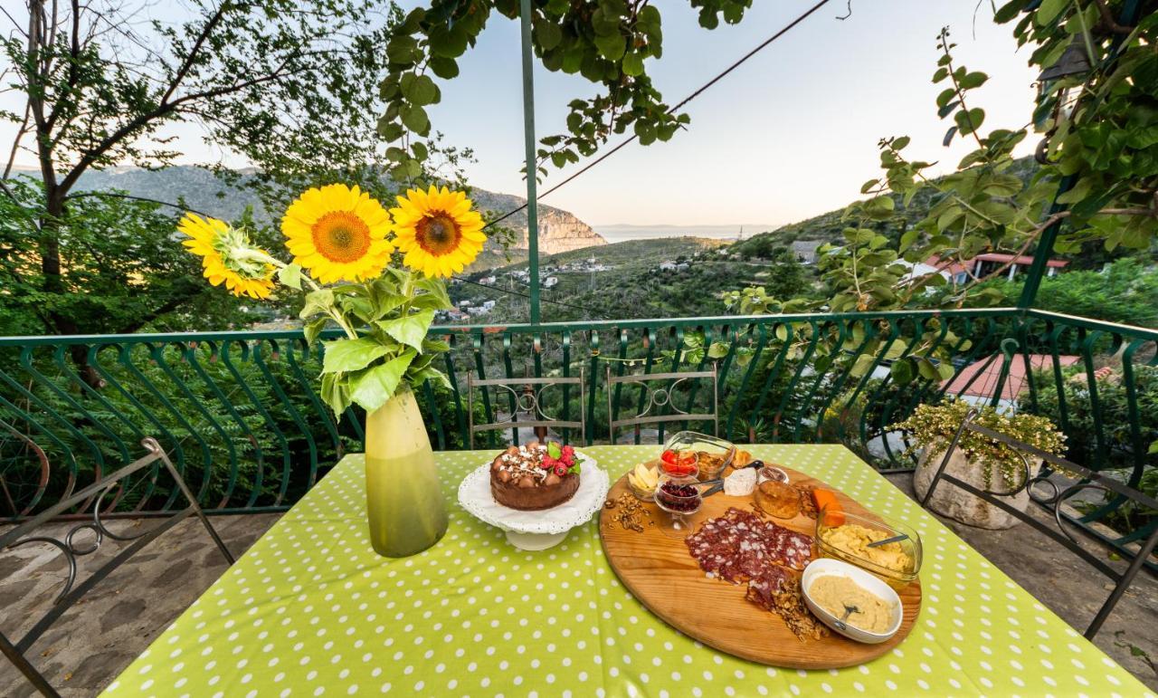 Villa Blanka Žrnovnica Esterno foto